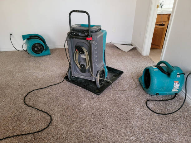 Best Flood damage cleanup  in Westvle, IL