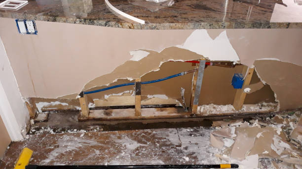 Best 24-hour water damage restoration  in Westvle, IL