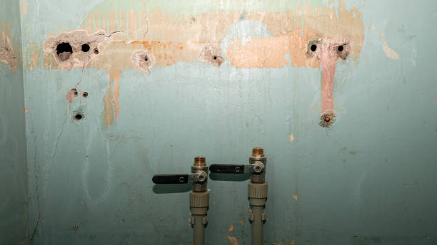 Best Flooded house restoration  in Westvle, IL
