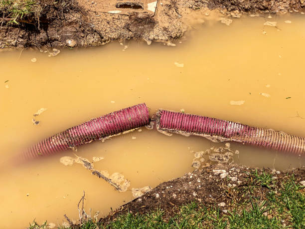 Best Water damage restoration insurance claims  in Westvle, IL